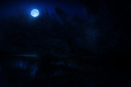 Volle maan in de Biesbosch