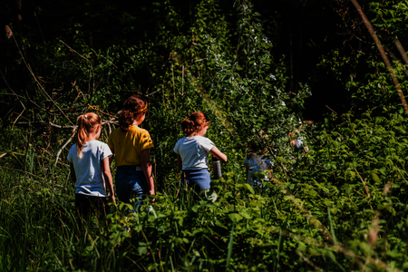 Kinderen wandelen over een struinpad