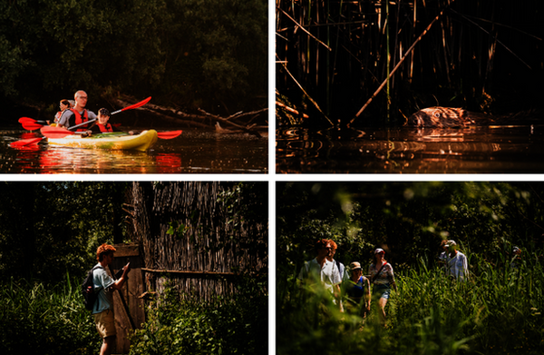 Een collagefoto van de activiteiten dit weekend