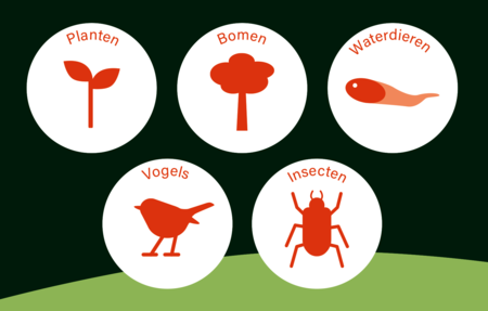 De soorten waar je naar op zoek gaat: planten, bomen, waterdieren, vogels en insecten