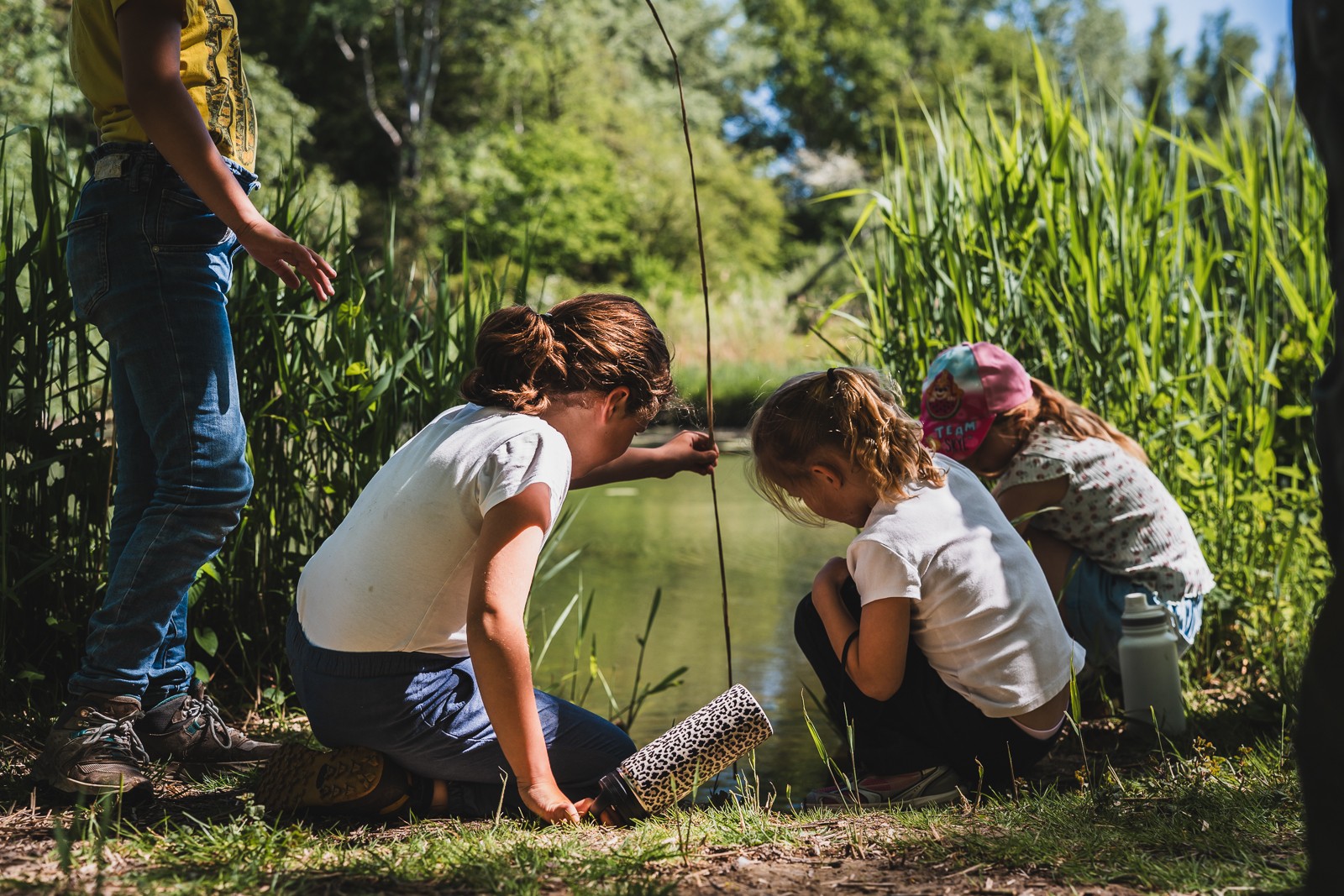 Kinderen onderzoeken waterbeestjes