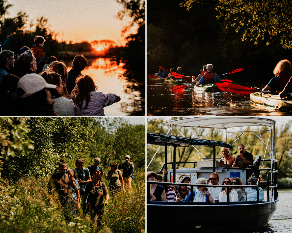 Fotocollage van de activiteiten dit weekend