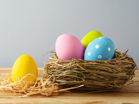 Vogelnestje met paaseitjes