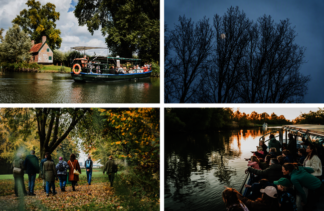 Een collagefoto van de activiteiten dit weekend