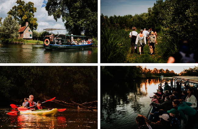 Een collagefoto van de activiteiten dit weekend