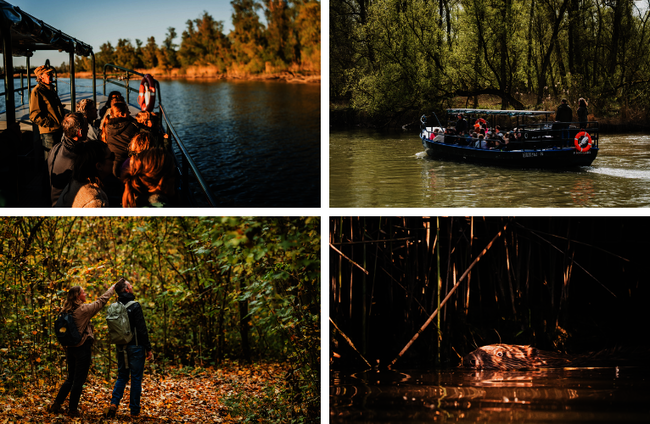 Een collagefoto van de activiteiten dit weekend