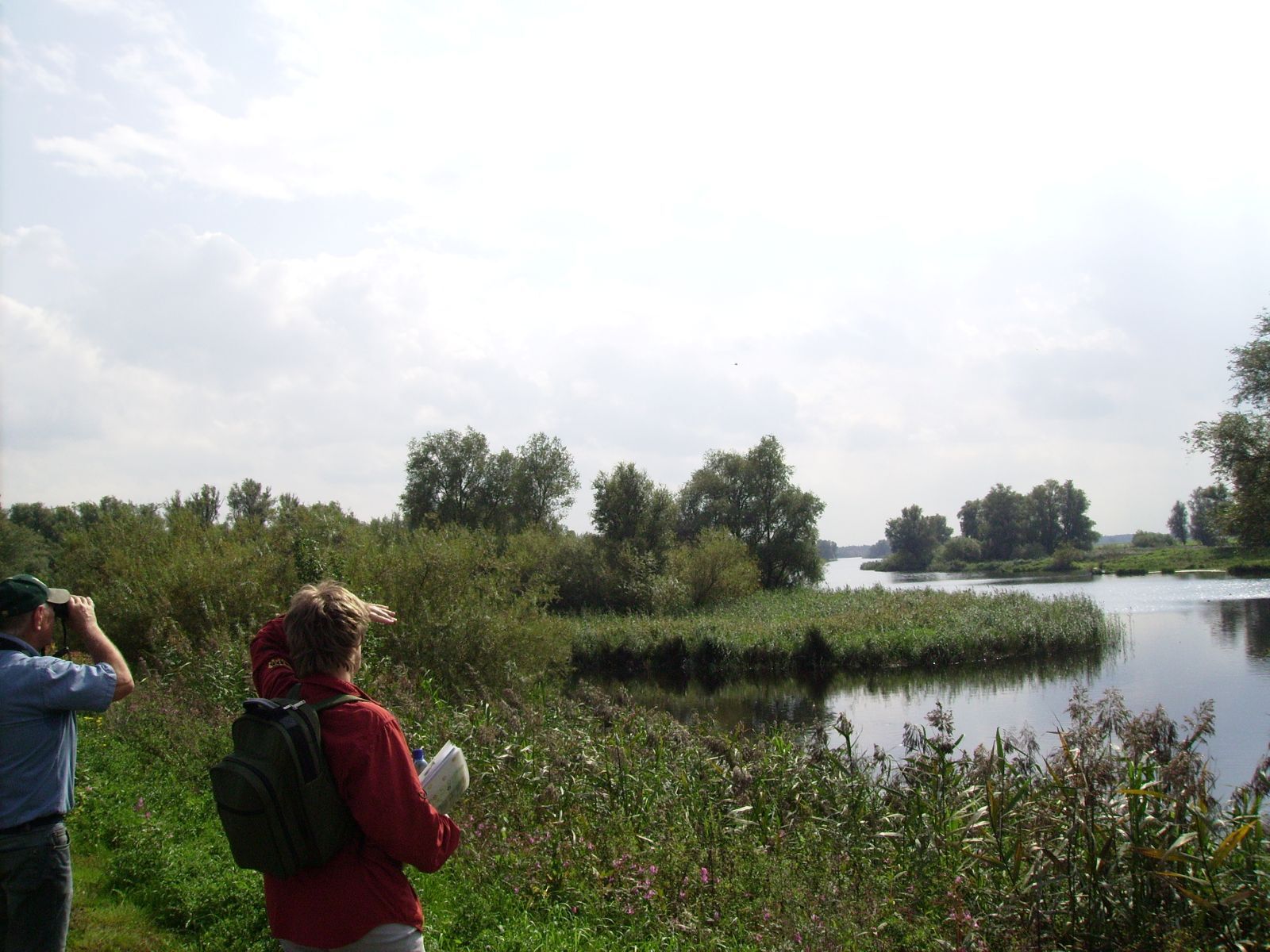 Een vogel in de lucht