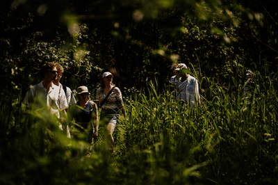 Wandelen in de natuur van het Griendmuseumpad