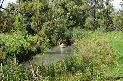 Canoe