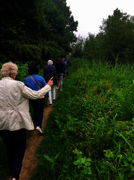 Ouderen wandelen door de natuur