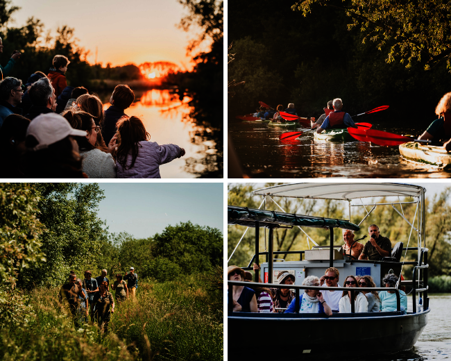 Fotocollage van de activiteiten dit weekend