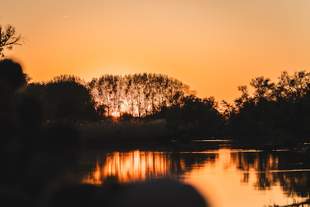 Zonsondergang in de Biesbosch