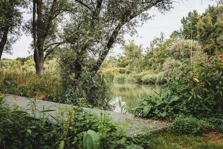 Water langs het Griendmuseumpad