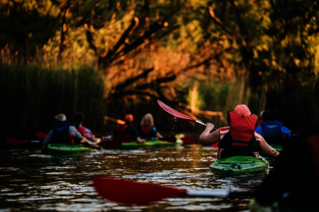 Een groep kanovaarders in de Biesbosch