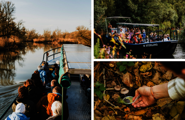 Collagefoto van de activiteiten dit weekend
