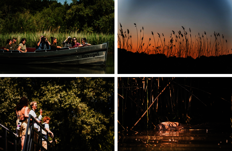 Fotocollage van de activiteiten dit weekend