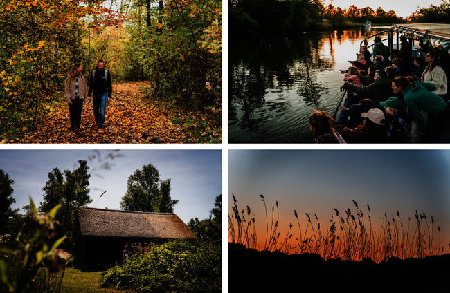 Collagefoto van de activiteiten dit weekend