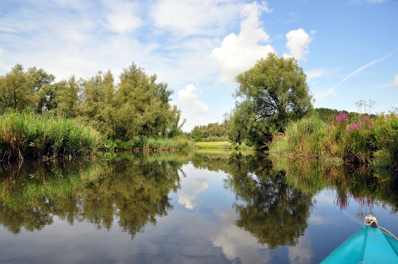 NP De Biesbosch