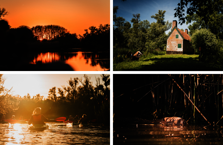 Een fotocollage van de activiteiten dit weekend