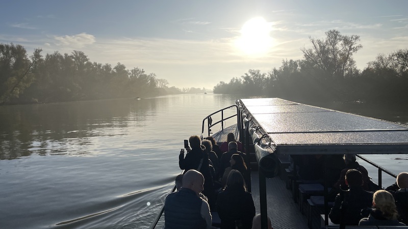 Rondvaart door de Biesbosch