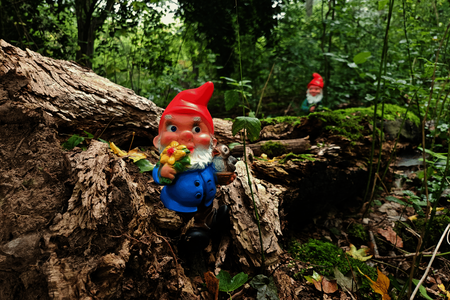 Kabouters in het Kabouterbos