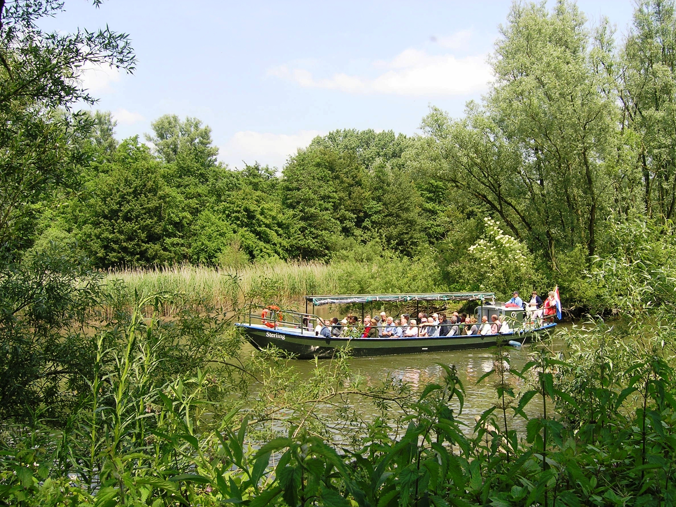 Rondvaart door de Biesbosch
