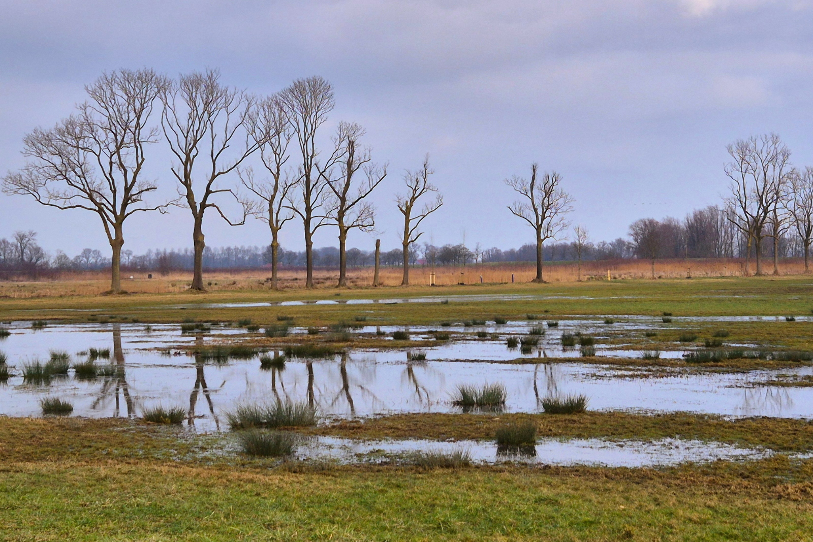 De Hania's Polder