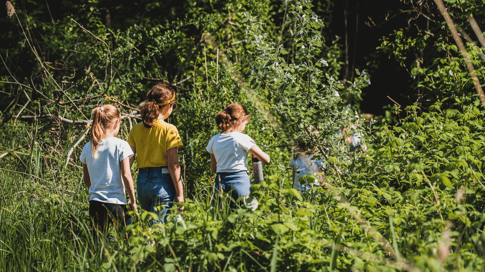 Kinderen op ontdekkingstocht door de Biesbosch