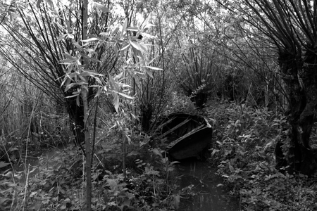 Een bootje in de grienden