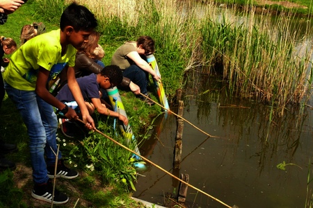 Kinderen met een schepnetje aan de waterkant