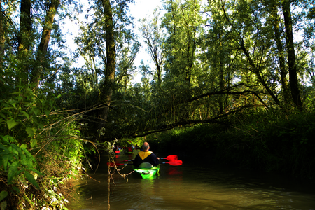 Kanovaren in de Biesbosch